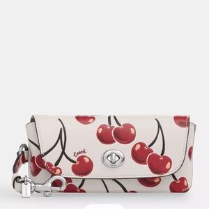 Coach eyeglass case